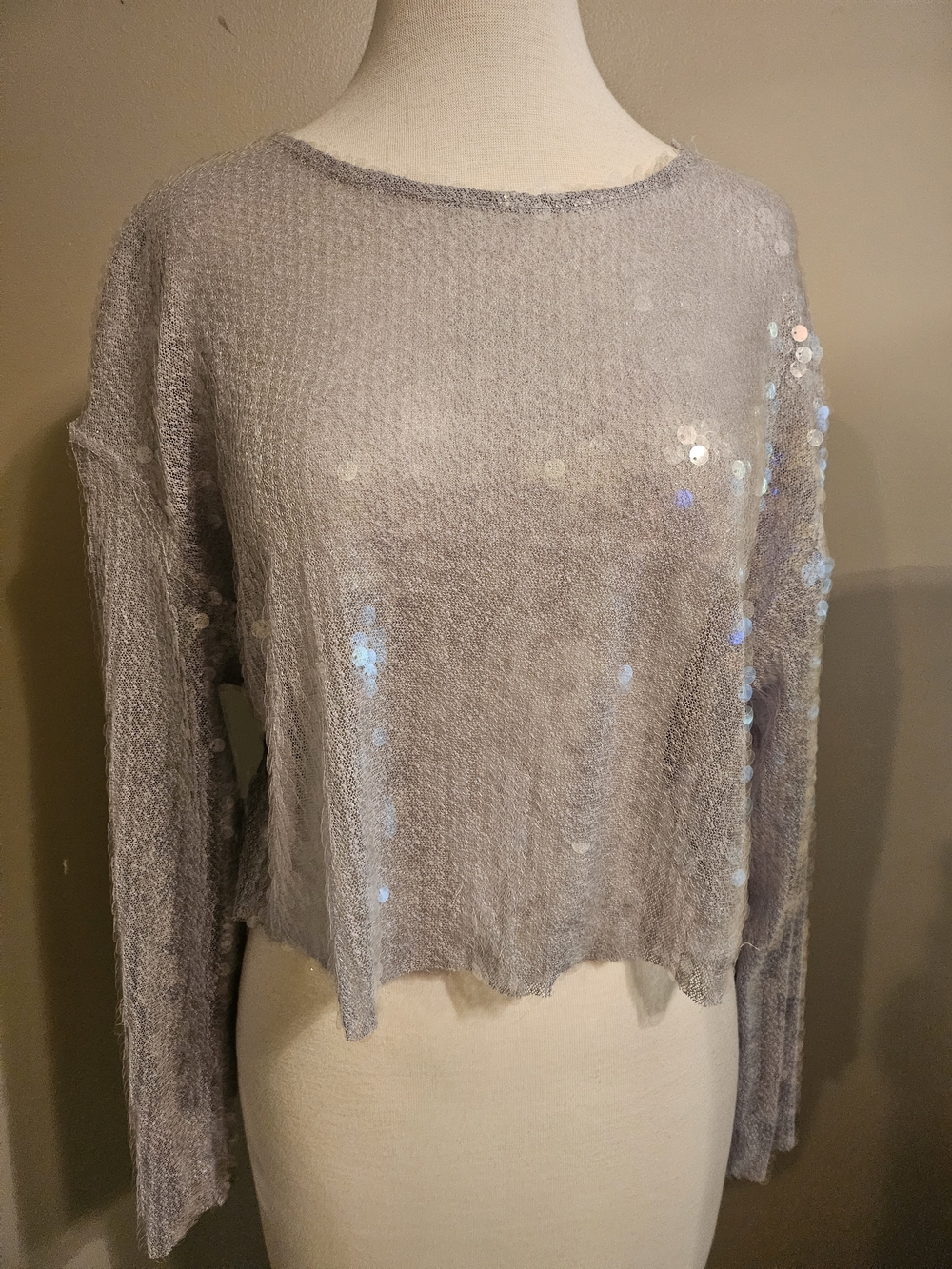 Zara Light Gray Sheer Sequin Knit Top